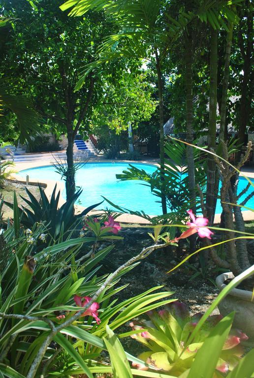 The Blue Orchid Resort Moalboal Exterior foto